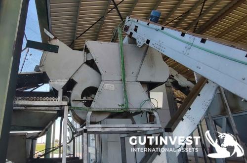 Ecobiotermica Línea de procesado de pistacho - 1500Kg/hora
