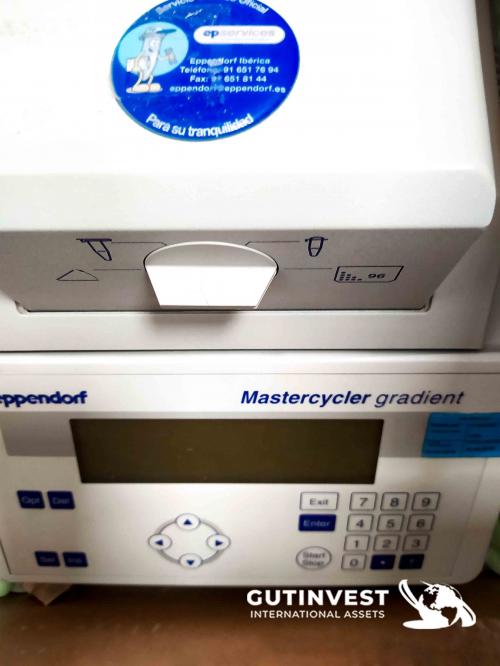 Eppendorf Mastercycler gradient